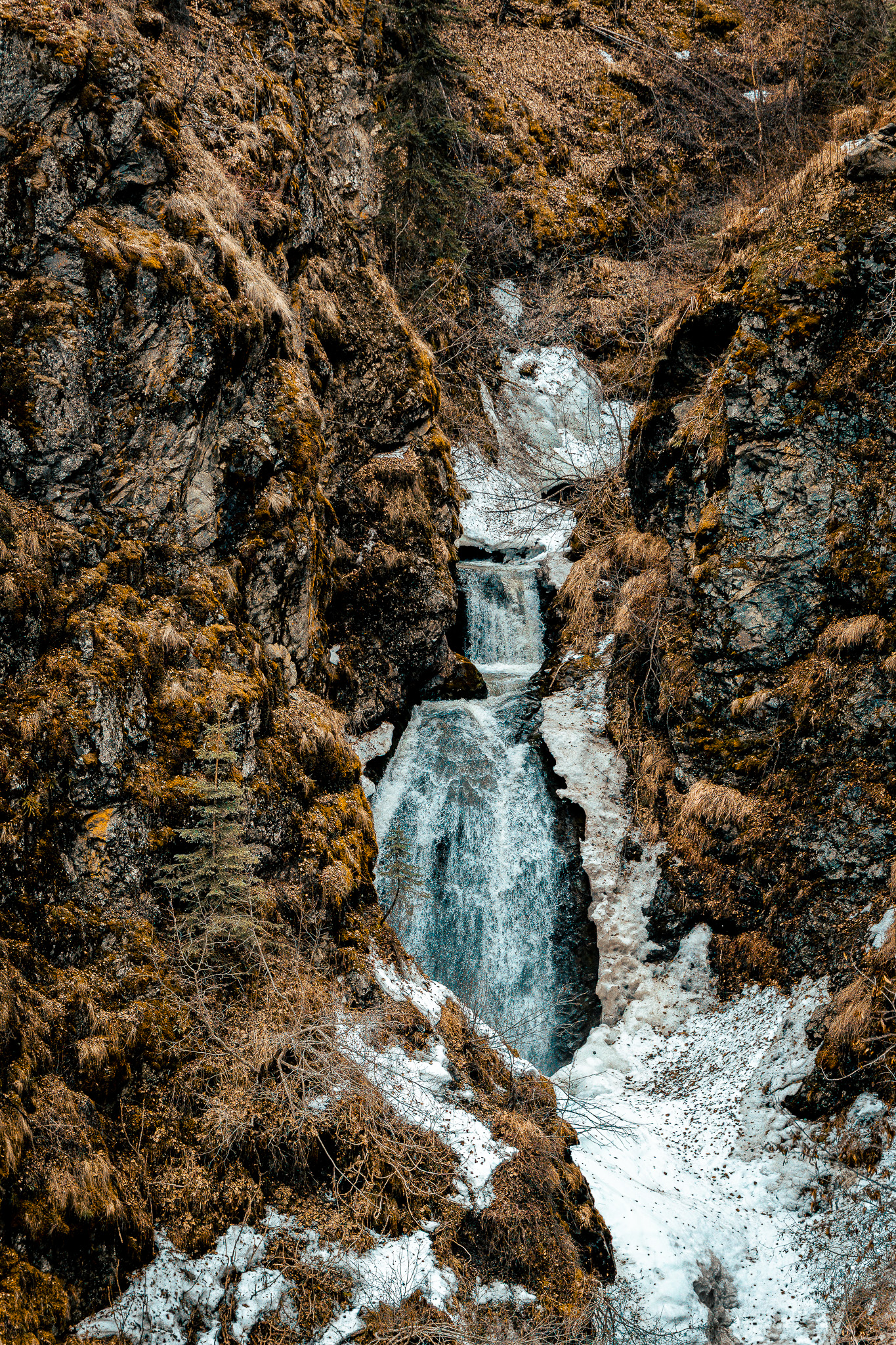Nature photography